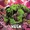 Free Comic Book Day 2021: Avengers/Hulk Vol 1 1