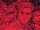 Pietro Maximoff (Earth-616) from Scarlet Witch Vol 4 10 001.jpg
