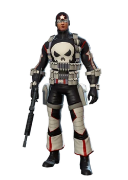 Punisher war journal