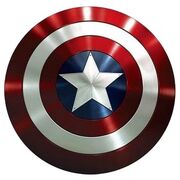 Cap Shield