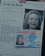 Sharon Davis WVE4.png (86 KB)