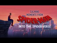 Spider-Man- Into the Spider-Verse - Calming Moments - Sony Animation