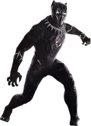 T'Challa portrayed by Chadwick Boseman in the Marvel Cinematic Universe.