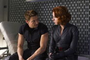 Hawkeye and Black Widow.