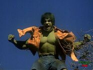 Hulk portrayed by Lou Ferrigno in the TV series.