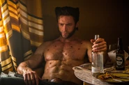 Wolverine-XMDoFP.jpg (765 KB)