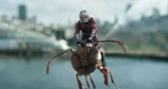 AatW Ant-Man on flying ant.jpg (95 KB)
