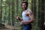 Wolverine against the Brotherhood