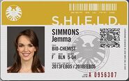 Jemma Simmons ID