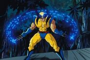 Wolverine suit used by James Howlett in the Marvel Animated Universe.