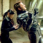 Wolverine vs Lady Deathstrike.