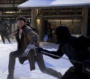 Wolverine battling some ninja