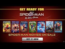 Movie Poster SPIDER-MAN 2 1 Sided ORIGINAL FINAL 27x40 TOBEY MAGUIRE  KIRSTEN DUNST