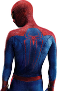 Spider-Man back view.