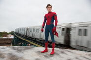 Spider-Man Peter unmasked