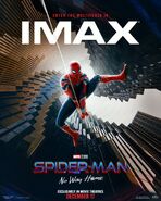 IMAX No Way Home Poster