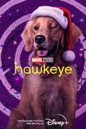 Hawkeye Character Posters 01