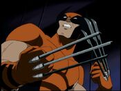 Wolverine voiced by Scott McNeil in the tv series X-Men Evolution.