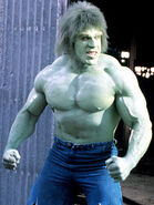 Lou Ferrigno as Hulk.