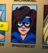 Shadowcat from the Marvel Animated Universe.