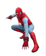 Homemade Spiderman-suit