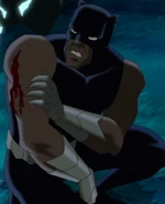 T'Chaka a former Black Panther in the Ultimate Avengers film series, voiced by Dave Fennoy.