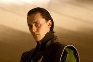 Loki in the healing room.