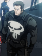 Punisher voiced by Norman Reedus in Iron Man: Rise of the Technovore and Brian Bloom in Avengers Confidential: Black Widow & Punisher.