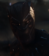T'Challa the fourth known Black Panther in the Marvel Cinematic Universe, portrayed by Chadwick Boseman.