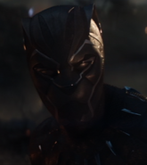 Black Panther AE