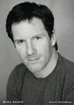 Shea Adams