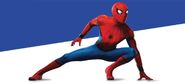 Spider-Man-wallcrawling spidey