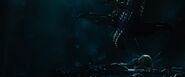 Leviathan AOU 2