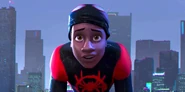 Miles Morales unmasked.png (990 KB)