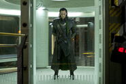 Loki rule