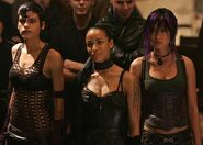 Callisto and the Omegas.