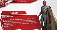 The Vision's short biography.