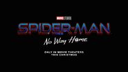 Spider-Man No Way Home Logo