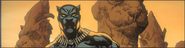 Black Panther 059