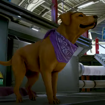 Dachshund avengers shop