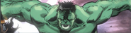 Nameplate Hulk 060