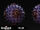 Voxiplode