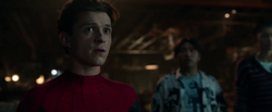 Peter Parker, Ned Leeds & Michelle Jones