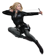 Civil War Agent 13 Char art