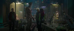 Groot se présente au Collectionneur