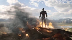 Black Panther retourne se battre au 