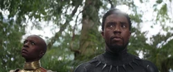 Black Panther voit l'arrivée de 