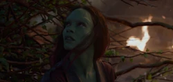 Gamora sauvée par 