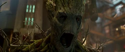 Groot s'enrage