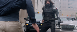 Bucky pissed